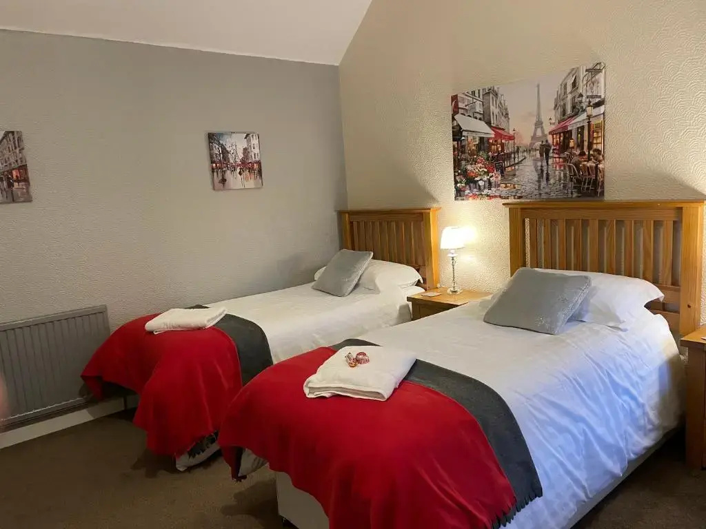 Standard Double room (full double bed)