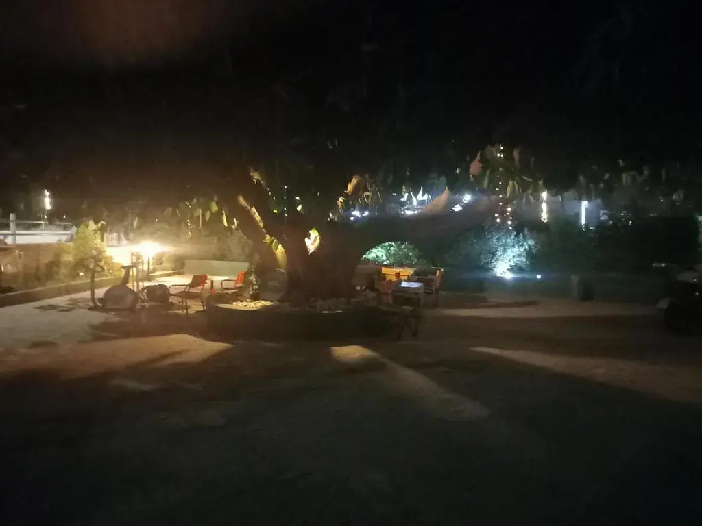 Hotel photo 41