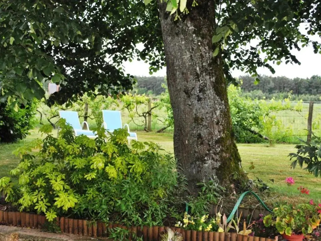 Gîte Paulmy, 4 pièces, 7 personnes - FR-1-381-321