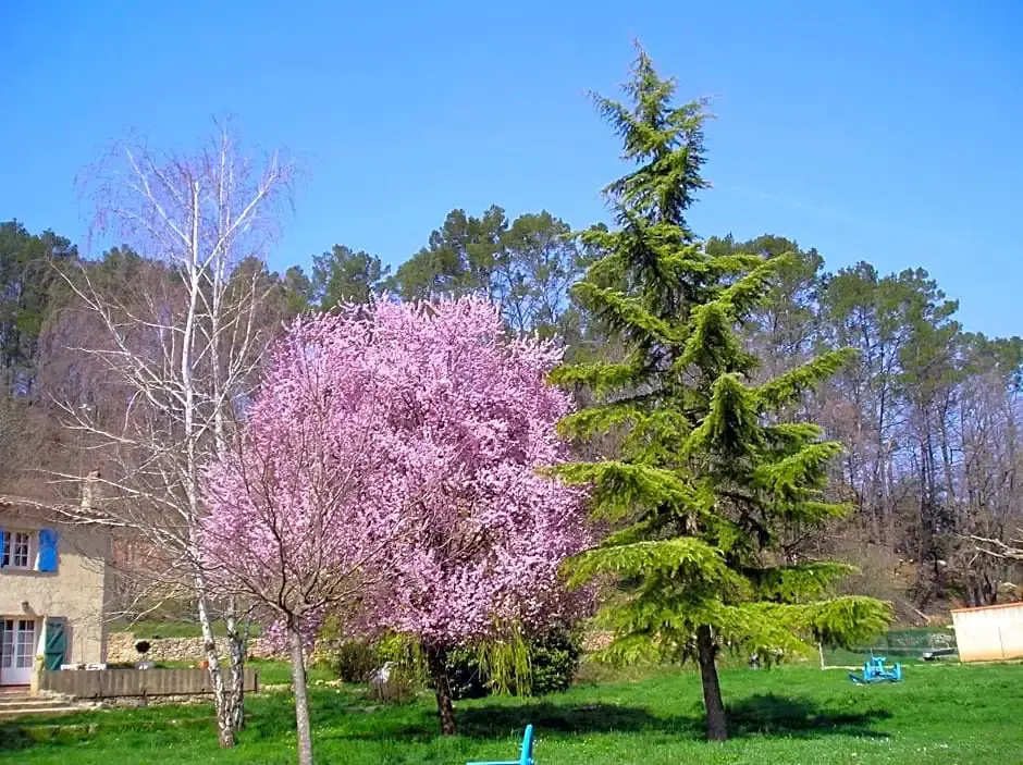 Voir la photo 4 — Domaine De La Provenç'âne Le Pigeonnier