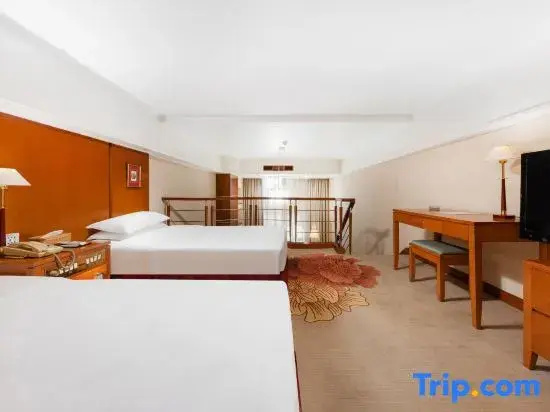 Standard Double Duplex room (twin beds)