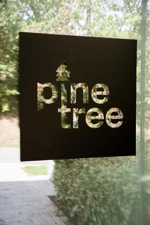Pine Tree - фото 18