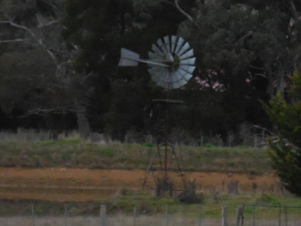 gallery_image_hidden_11