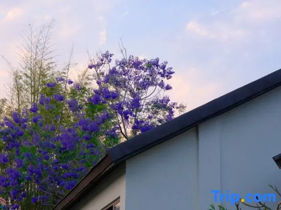 Menghai Meng Bala Jingmo Landscape Hot Spring Homestay