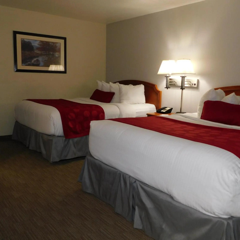 Hotel photo 26