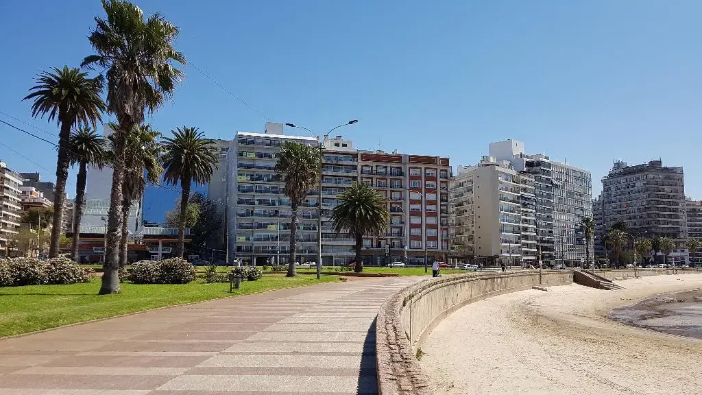 Punta Trouville Hotel - Général