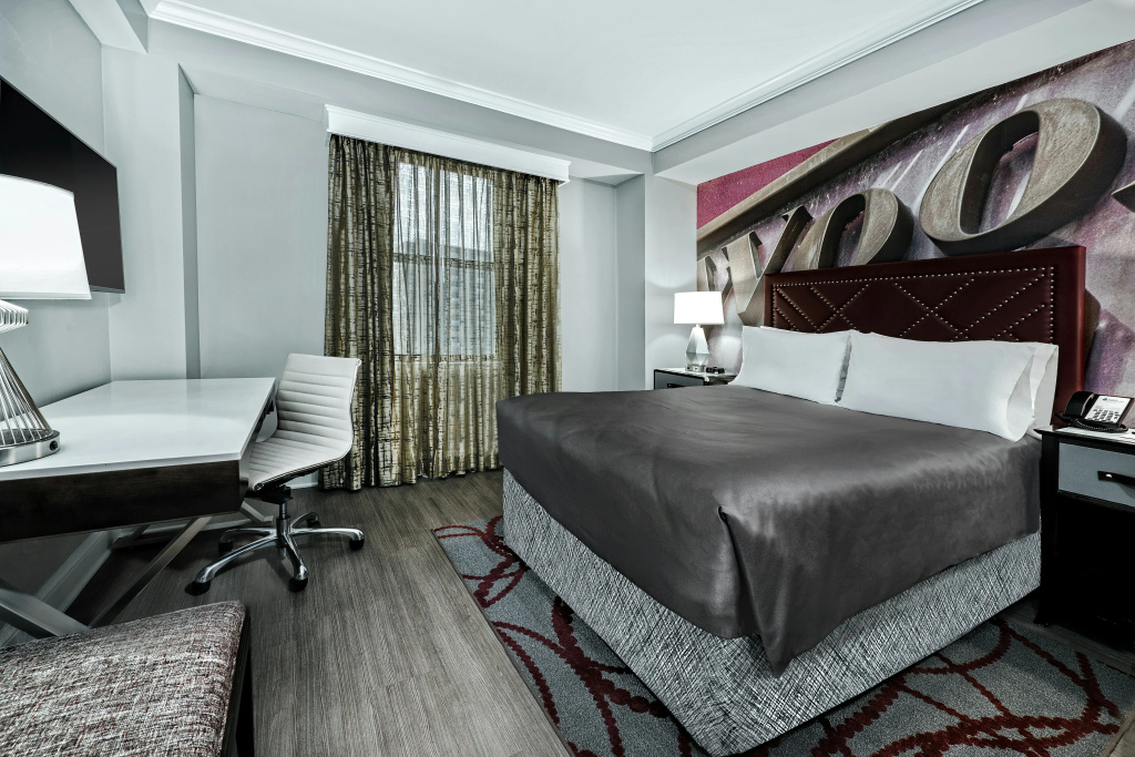 Hotel Indigo Dallas Downtown by IHG - Général