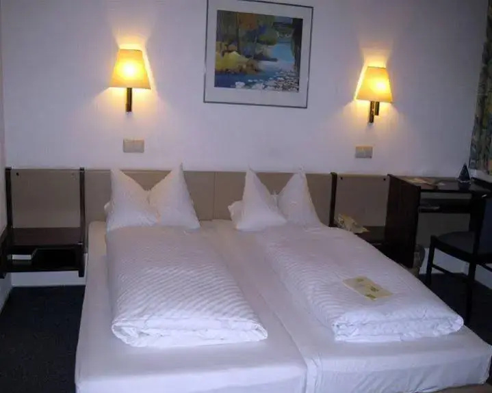 Rheinhotel Luxhof - Général