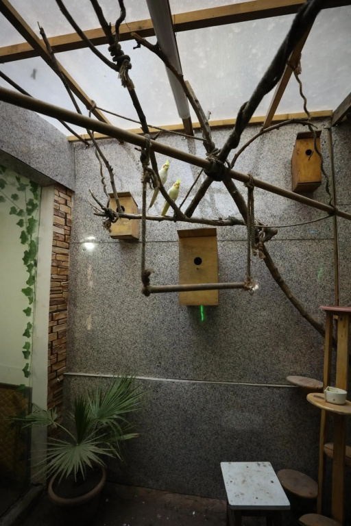 Hotel photo 49