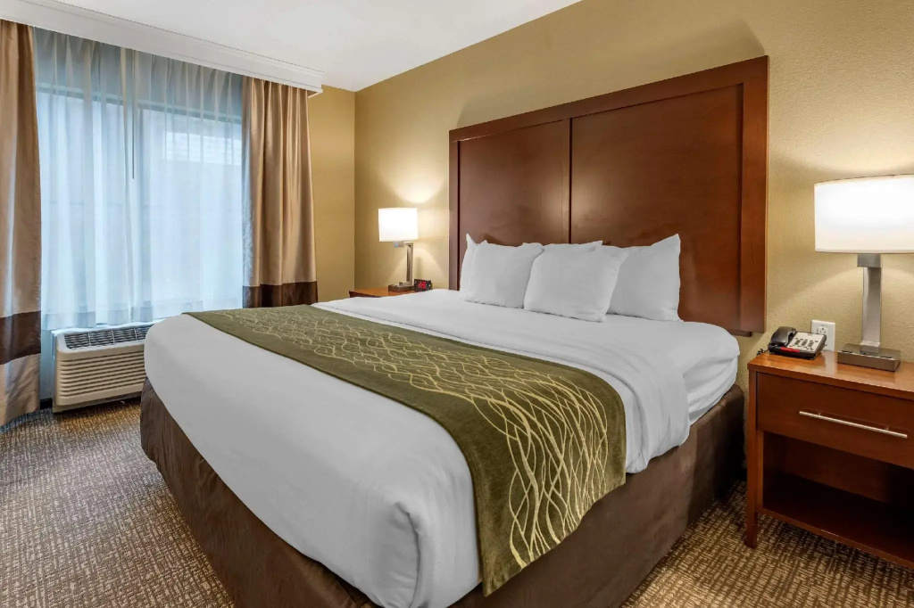 Double Suite (full double bed)