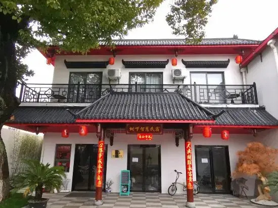 Shanghai Wisdom Hostel Under the Tree