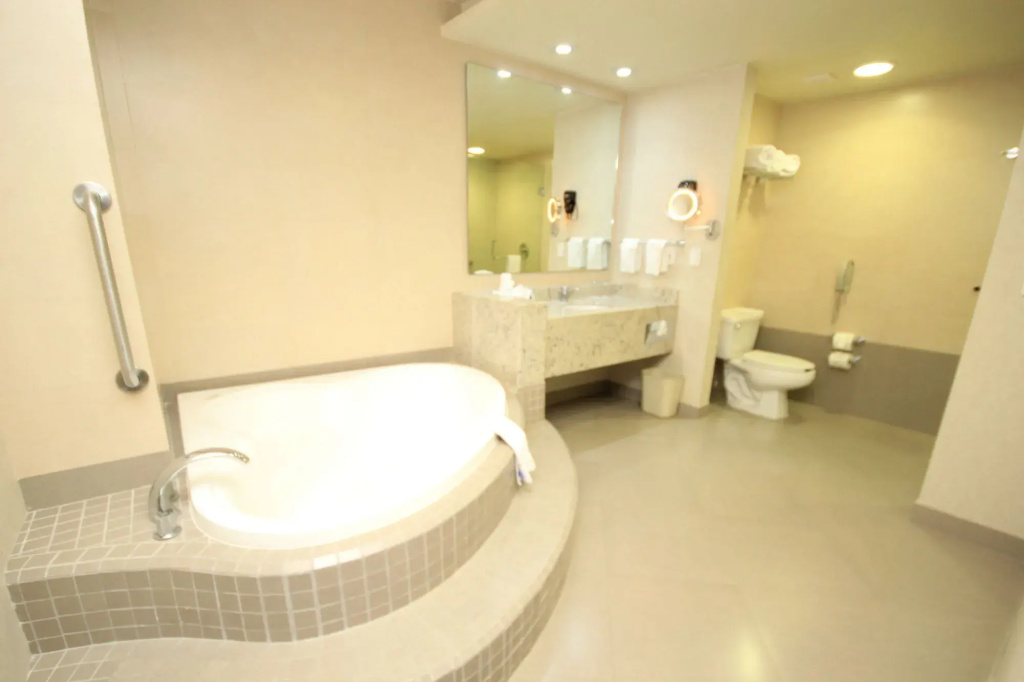Crowne Plaza Leon by IHG - Général