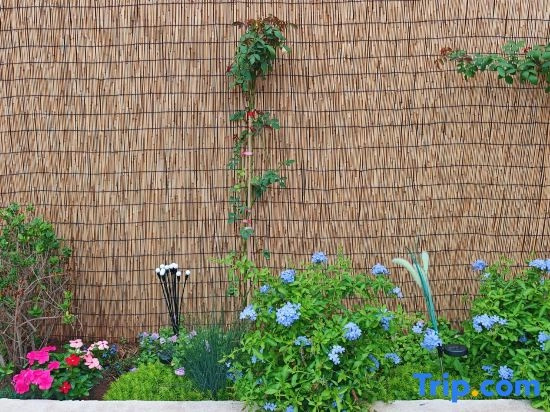Huaxinfeng Homestay