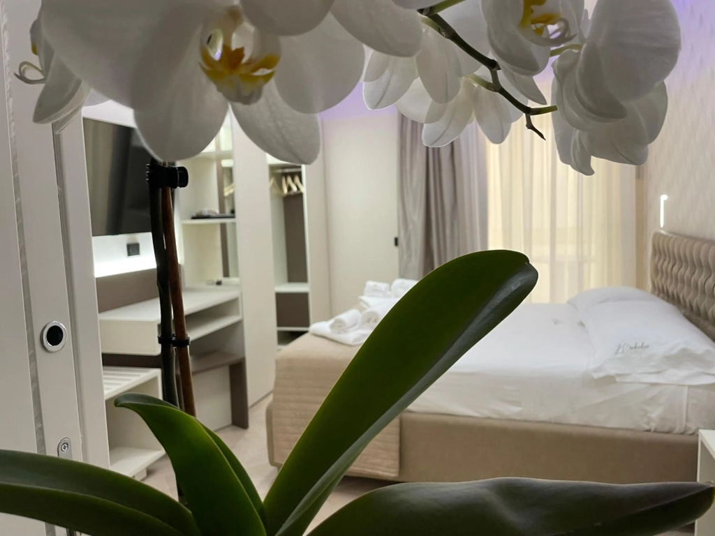 B&B L'Orchidea — 4