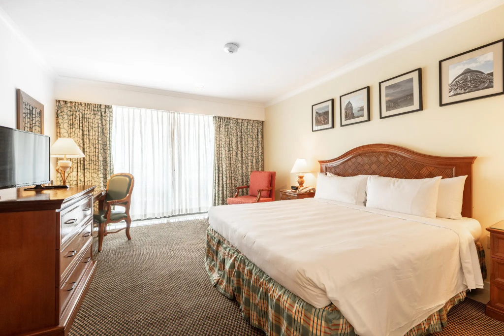 Standard Double room with ocean view (full double bed)