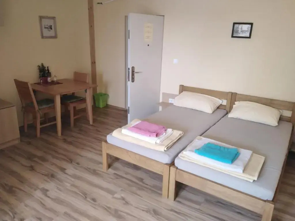 Standard Double room (full double bed)