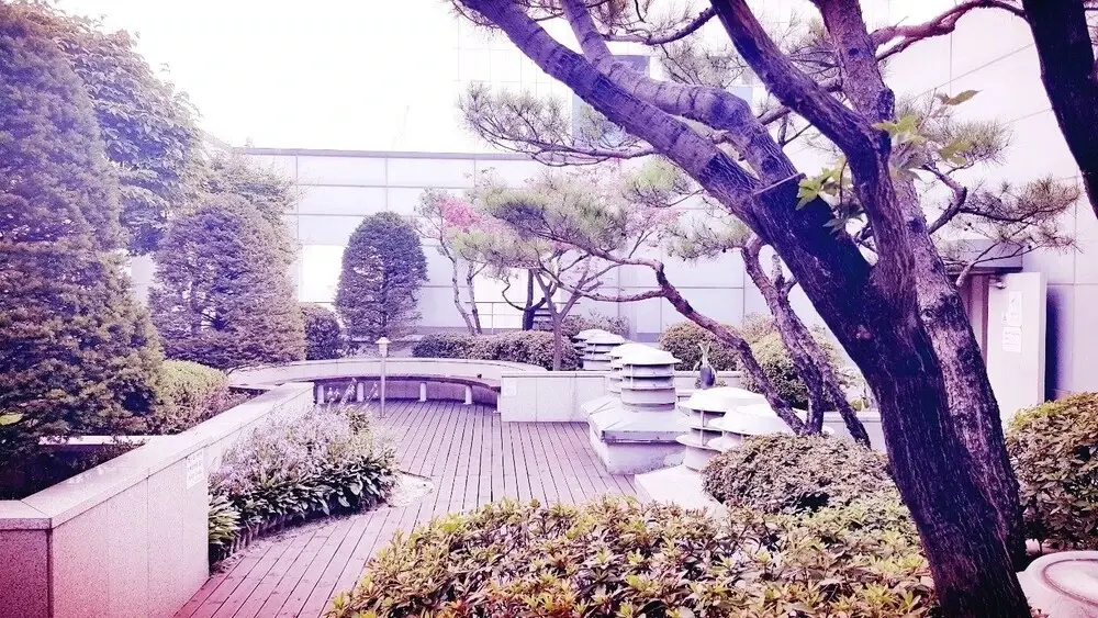 Sheraten House with Rooftop Garden
