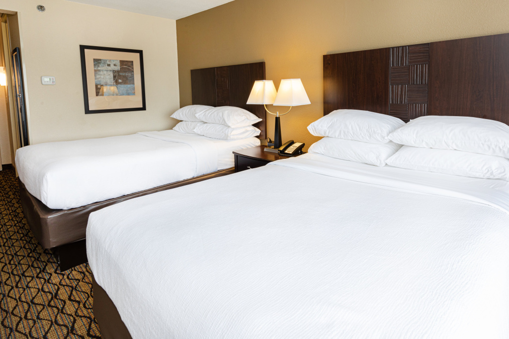 Holiday Inn St. Louis Arpt West-Earth City by IHG - Général