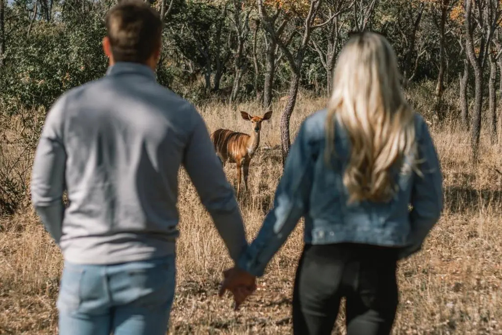 Kololo Game Reserve - Général