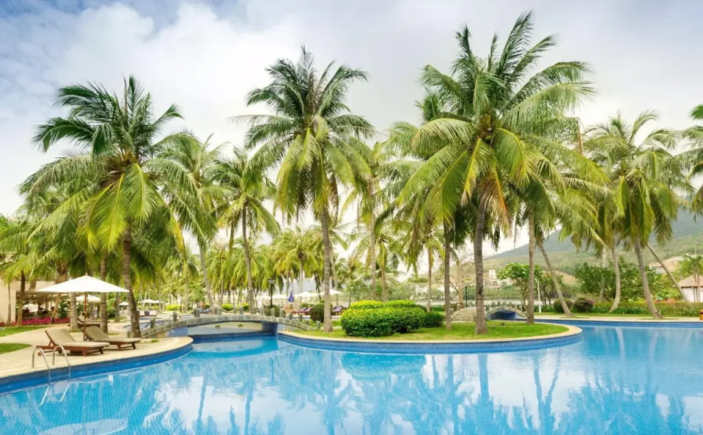 Golden Palm Resort - Général