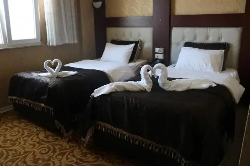 Standard Double room (twin beds)