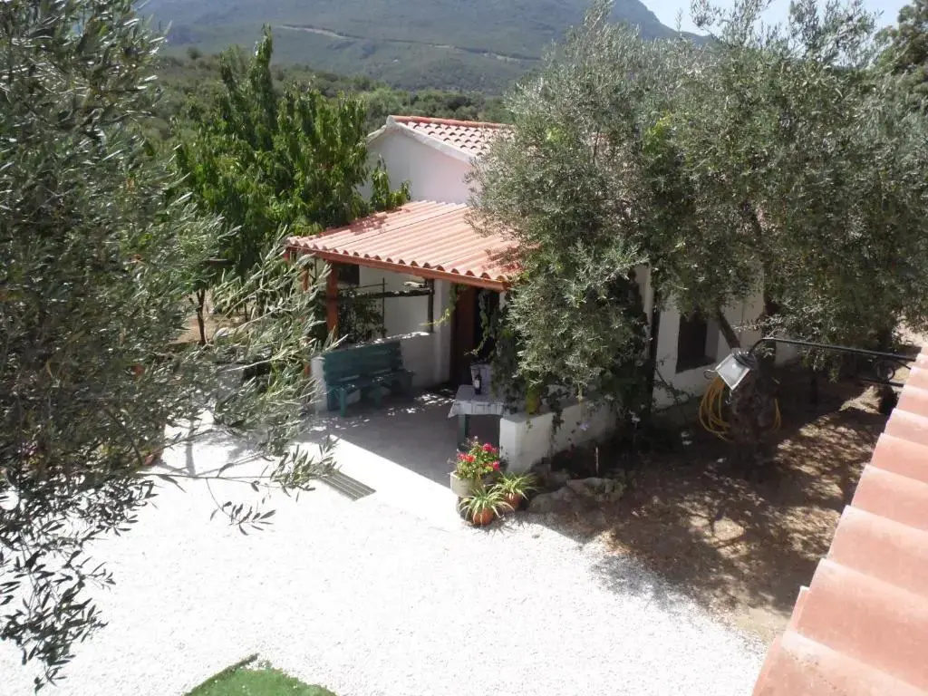Cottage