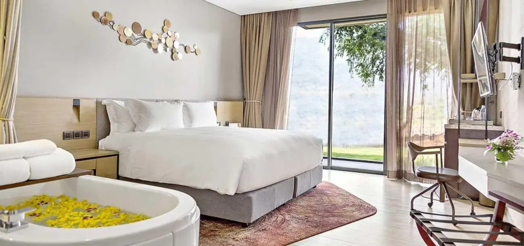Deluxe Double room (full double bed)