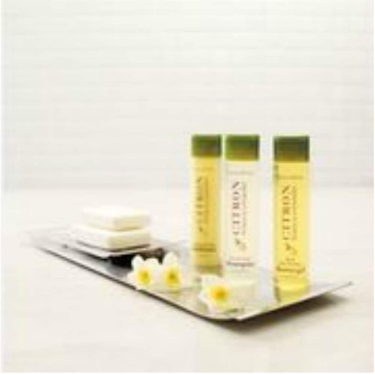 Doubletree By Hilton Hotel Goa 