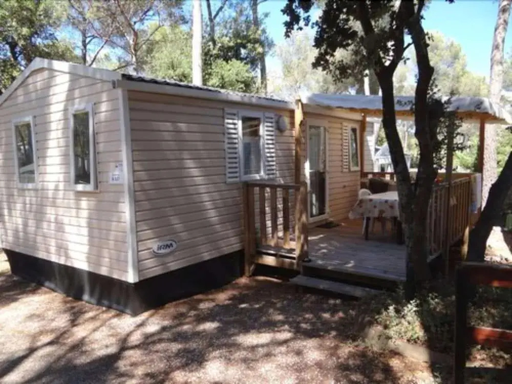 Camping Holdiay Green