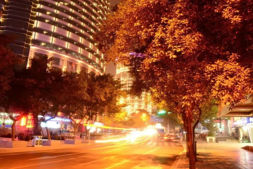 Chongqing Zhiyue Hotel