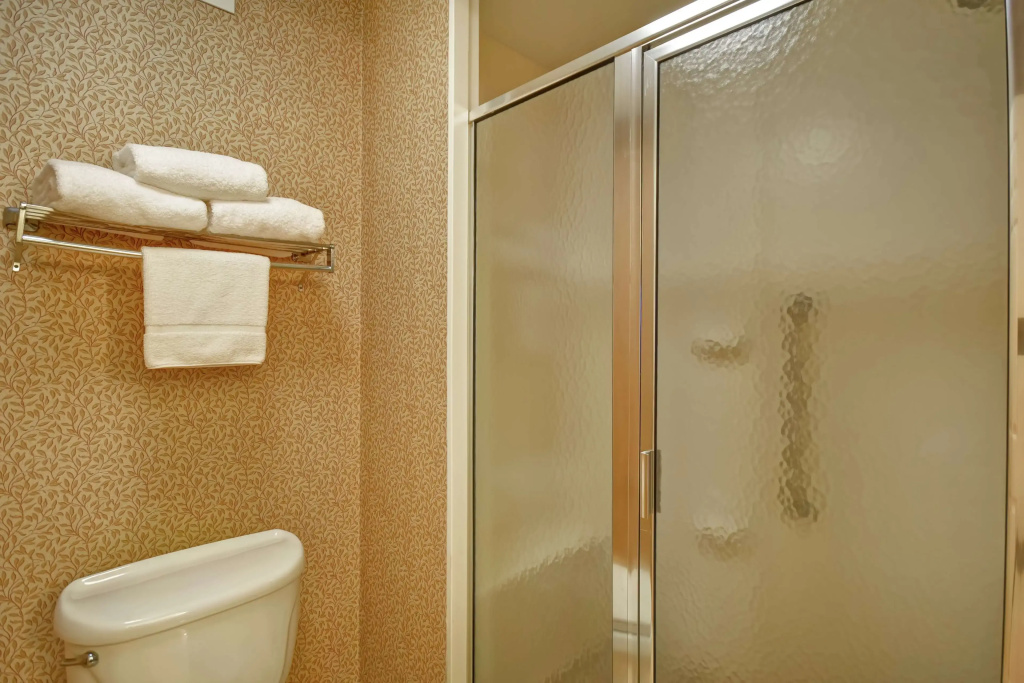 Homewood Suites by Hilton Richmond-Chester - Général