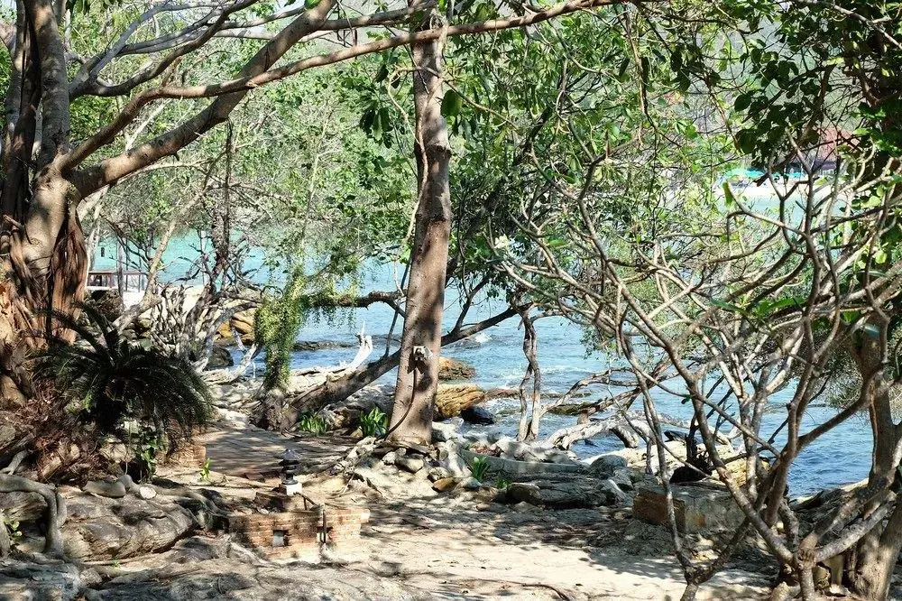 Beach & Waterfront