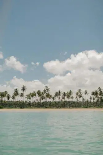 Paru Boutique Hotel - Général