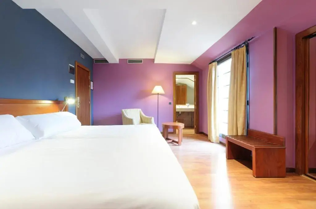 Segovia Sierra de Guadarrama Hotel - Chambres