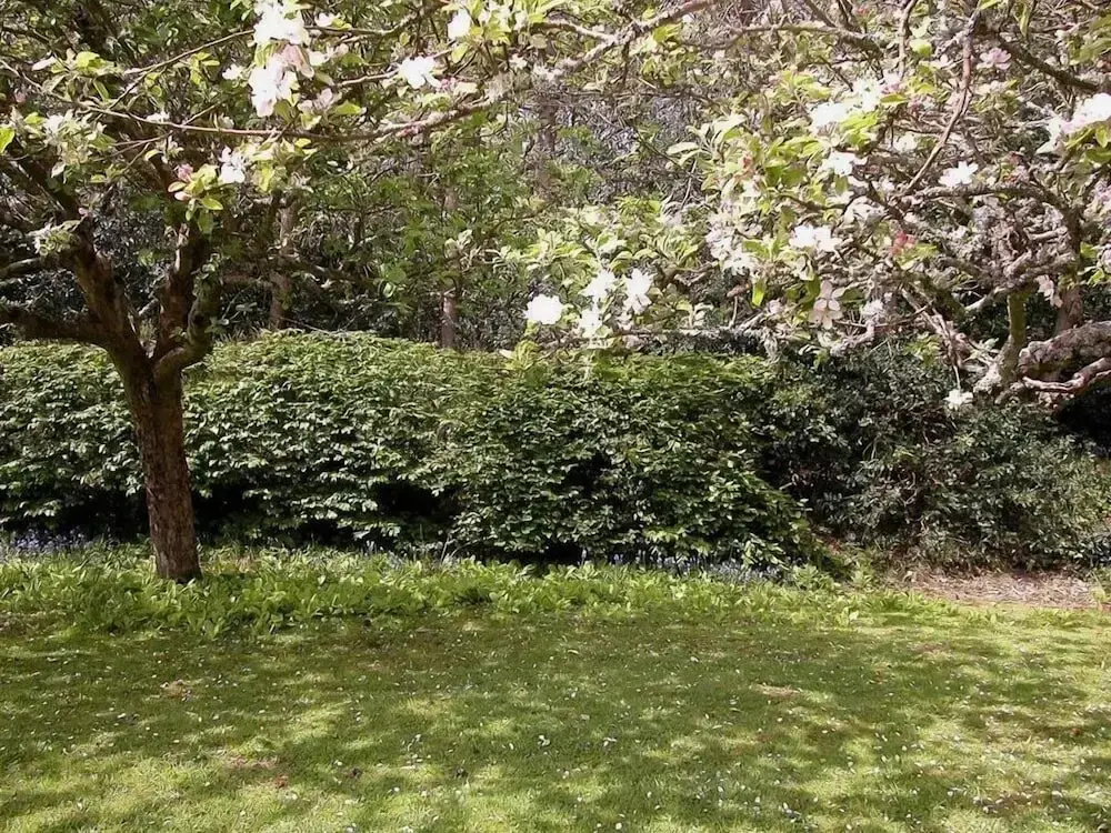 Gun Hill Cottage