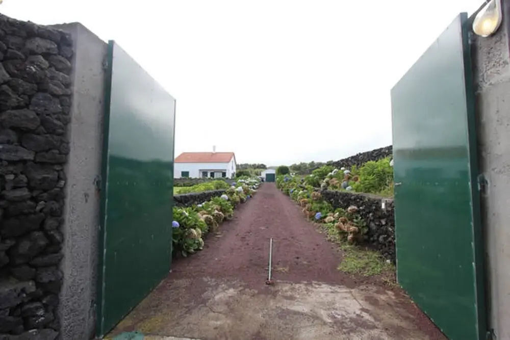 House With 3 Bedrooms in Ponta Delgada, With Wonderful sea View and En