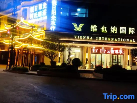 Vienna International Hotel (Kunming Jingkai District Yuecheng Science and Technology Park Branch)