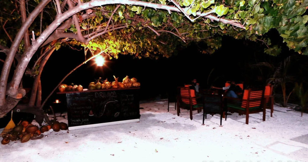 Piculet Royal Beach - Général