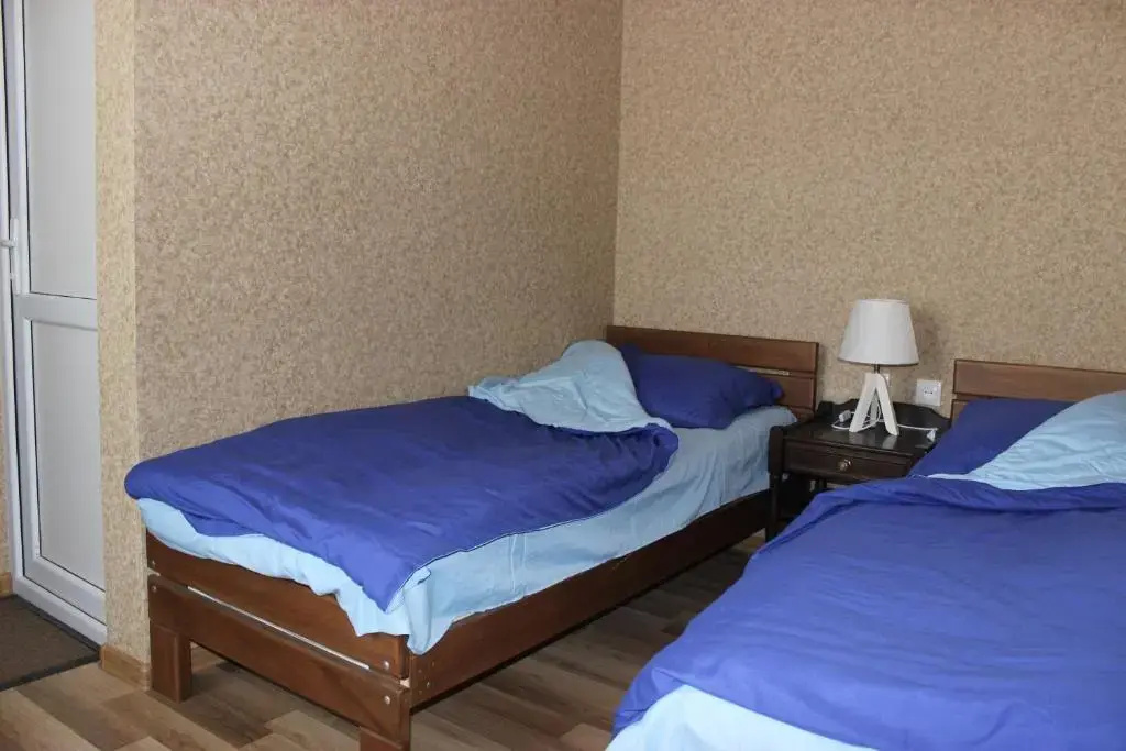 Deluxe Double room (twin beds)