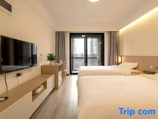 Standard Double room with city view (twin beds)