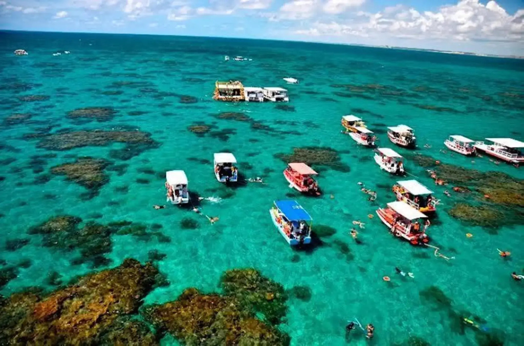 Divi Divi Praia Hotel - Général