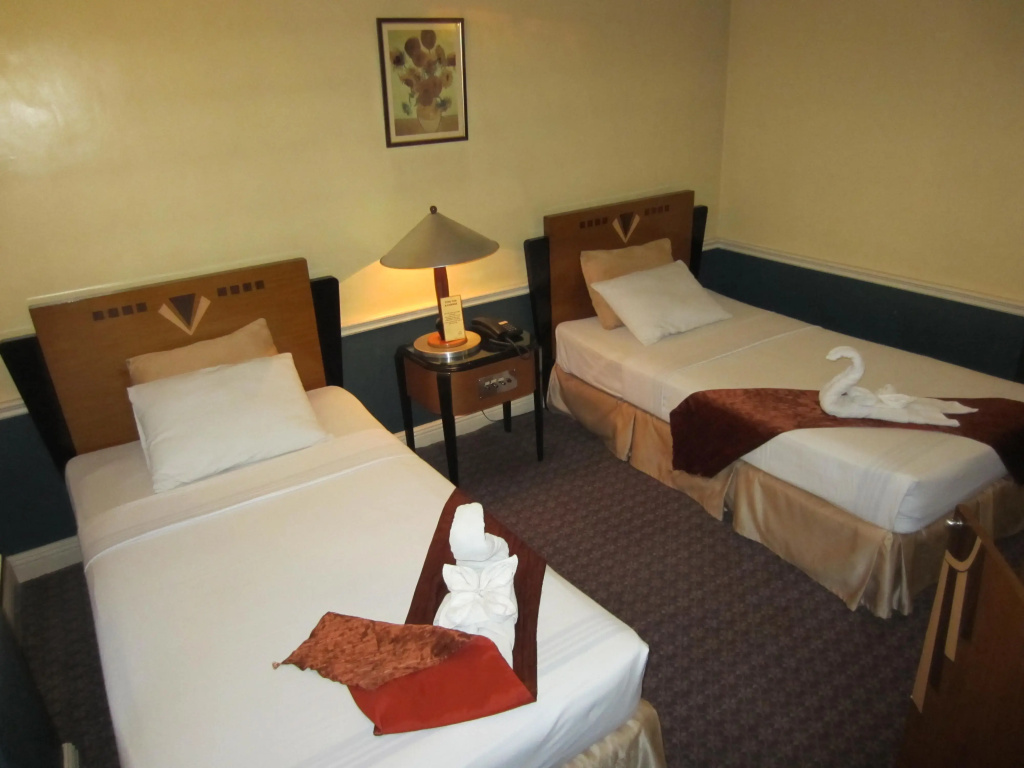 Superior Double room (twin beds)