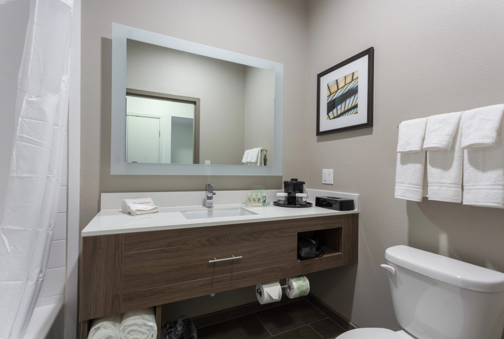 Holiday Inn San Marcos-Convention CTR Area by IHG - Général