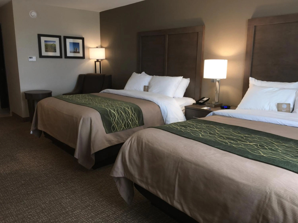 Comfort Inn & Suites Snyder — 4