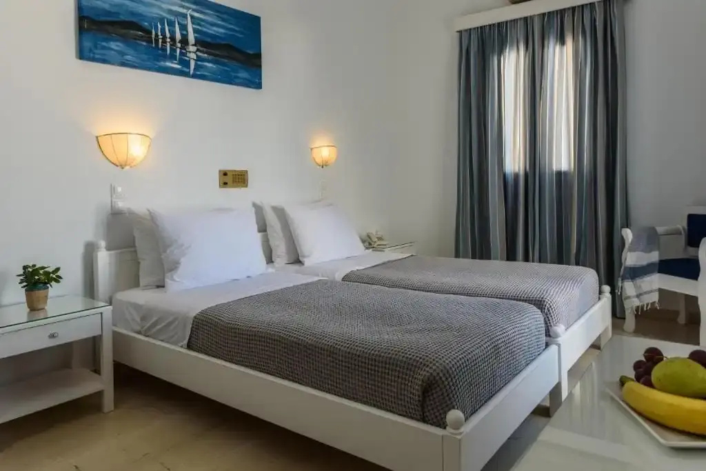 Standard Double room (twin beds)