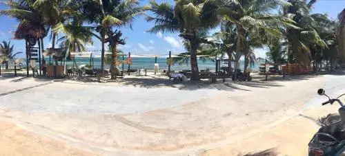 Beach & Waterfront