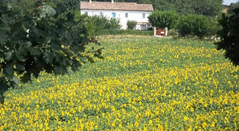 Casale Vega