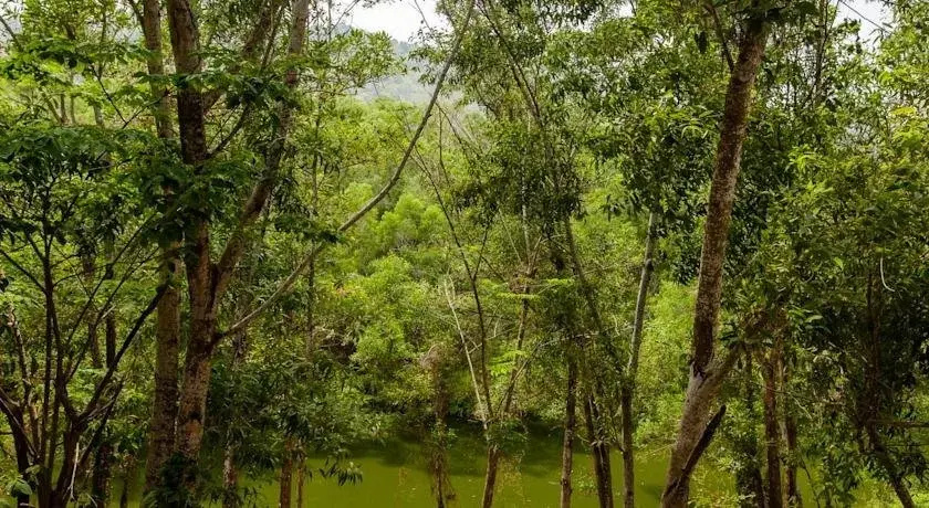 No.36 Phuket - Général