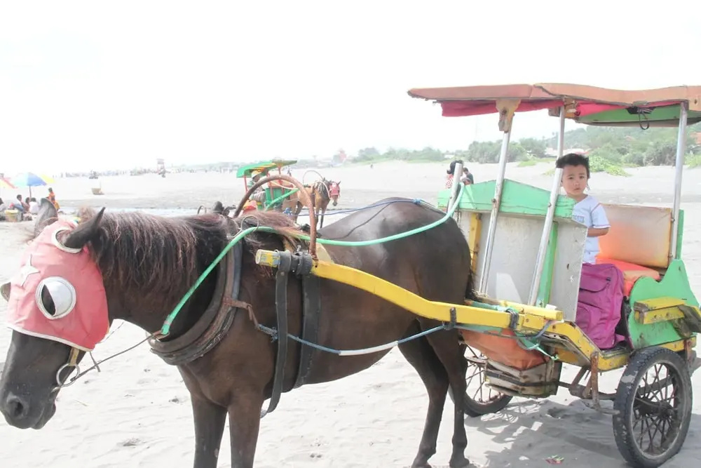 Omah Garengpoeng - фото 18