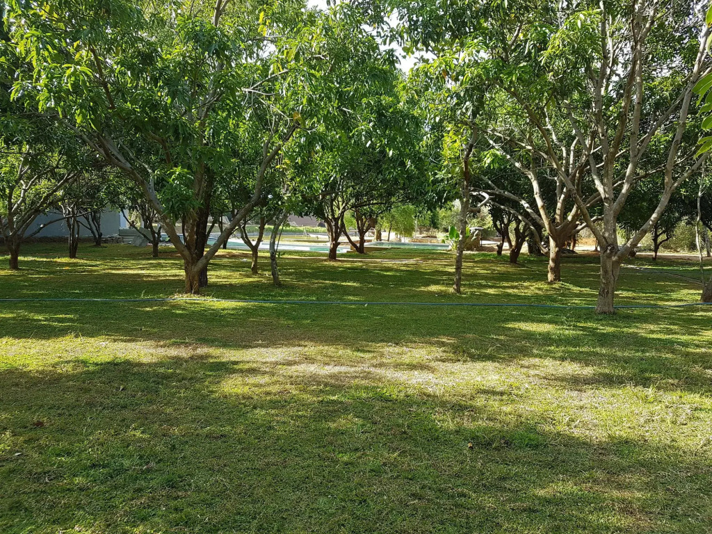 Liyya Water Villas - фото 4